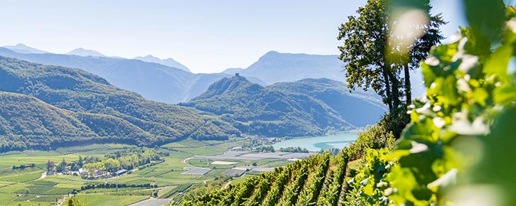 Kaltern, Kalterer See